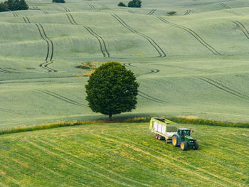 High angle view of man walking on field