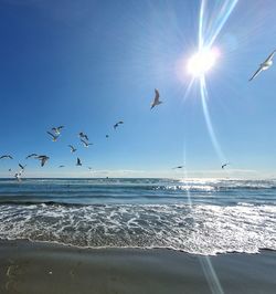 Seagulls flying over sea against sky