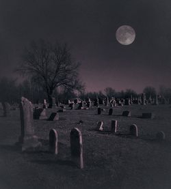 Scenic view of cemetery against sky at night