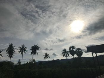 Low angle view of silhouette palm trees against sky