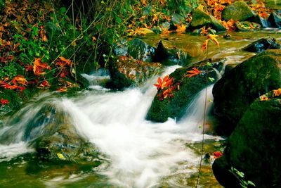 Stream flowing through rocks