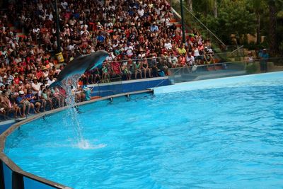 Group of people on dolphin show