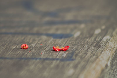 Close-up of chilli on wood