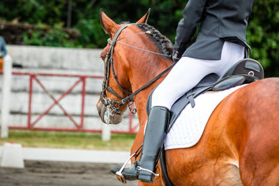 Side view of man riding horse