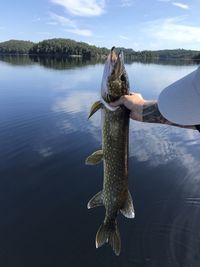 Man holding fish in lake