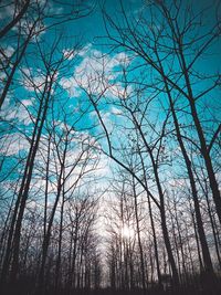 Low angle view of bare trees against sky