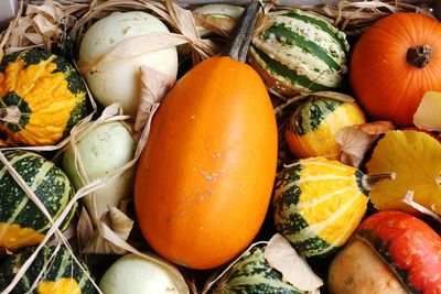 Close-up of pumpkins