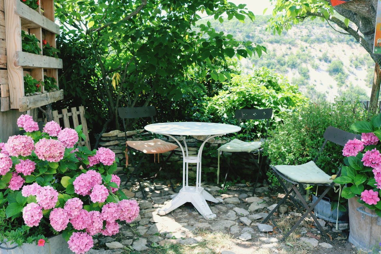 POTTED PLANTS ON TABLE IN BACKYARD