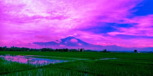 Scenic view of landscape against sky during sunset