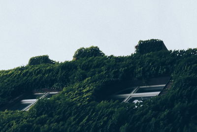 Road amidst trees against clear sky