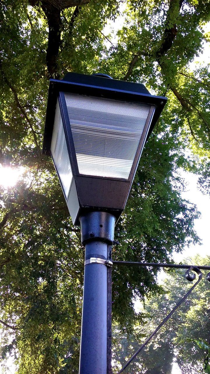 LOW ANGLE VIEW OF STREET LIGHT AGAINST TREES