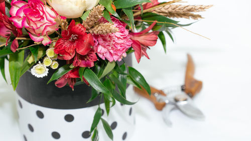 Close-up of pink flowers in vase