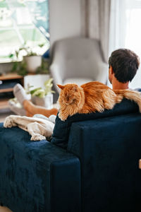 Senior ginger cat and his owners resting together on blue couch in living room