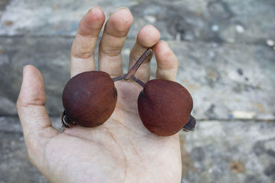 Close-up of person holding apple