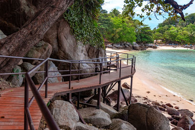 View of an animal on beach