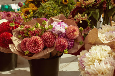 Bouquet of fresh dahlia flowers for sale at a farmers market in copley square, boston, massachusetts 