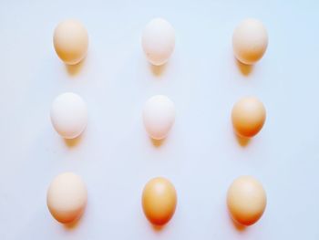 High angle view of eggs on white background