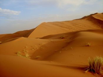 Scenic view of desert against sky