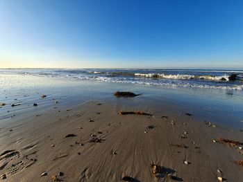 Scenic view of beach against clear blue sky