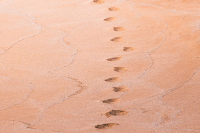 High angle view of footprints on sand