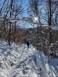 winter