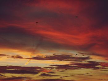 Low angle view of silhouette birds flying against dramatic sky