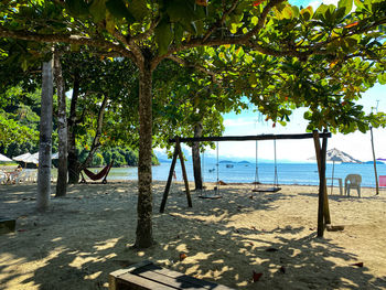 Trees on beach by sea