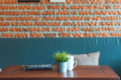 Close-up of potted plant on table against wall