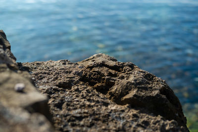 Close-up of rock on beach