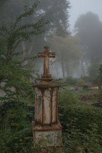 Cross in cemetery against trees