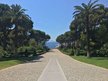 Empty road with trees in background