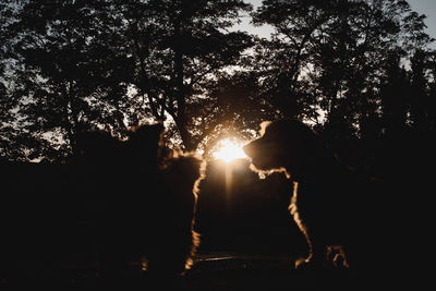 Silhouette dog by trees against sky during sunset