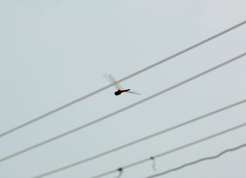 Low angle view of airplane flying against clear sky