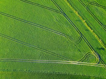 Full frame shot of agricultural field