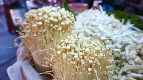 Close-up of white flowers for sale in market