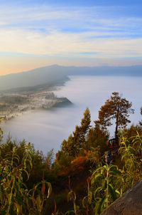 Scenic view of landscape against sky