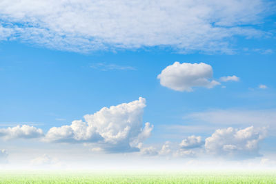 Low angle view of field against sky