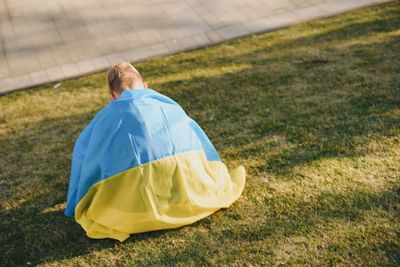 Flags ukraine 