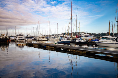 Sailboats moored in harbor