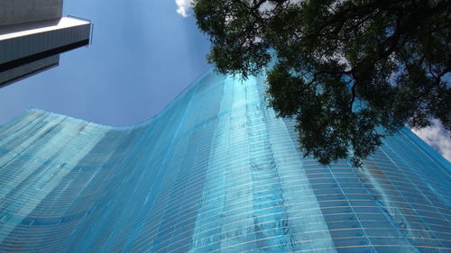 Low angle view of modern buildings and tree