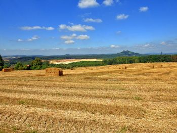 Scenic view of rural landscape