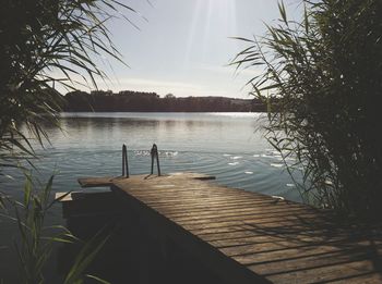 Silhouette of man swimming in lake