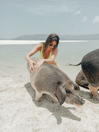 Woman playing with pig at beach