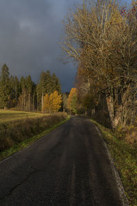 Road amidst trees and plants against sky