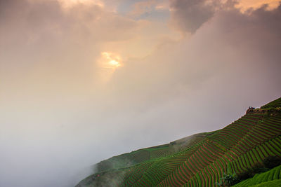 Scenic view of landscape against sky during sunset