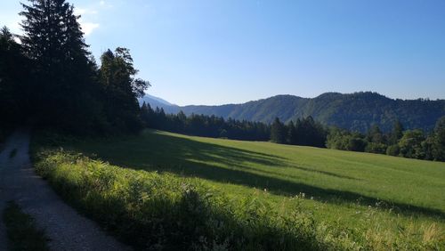 Scenic view of landscape against clear sky