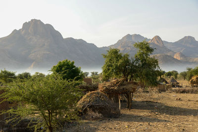 Trees on field against mountains