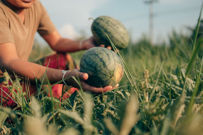 Midsection of girl holding fruit on field