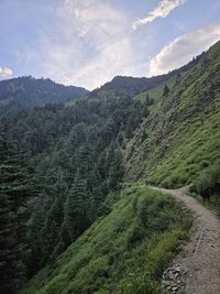 nature