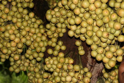 Full frame shot of fruits for sale at market stall